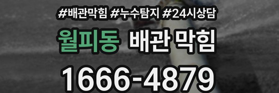 월피동 배관 막힘