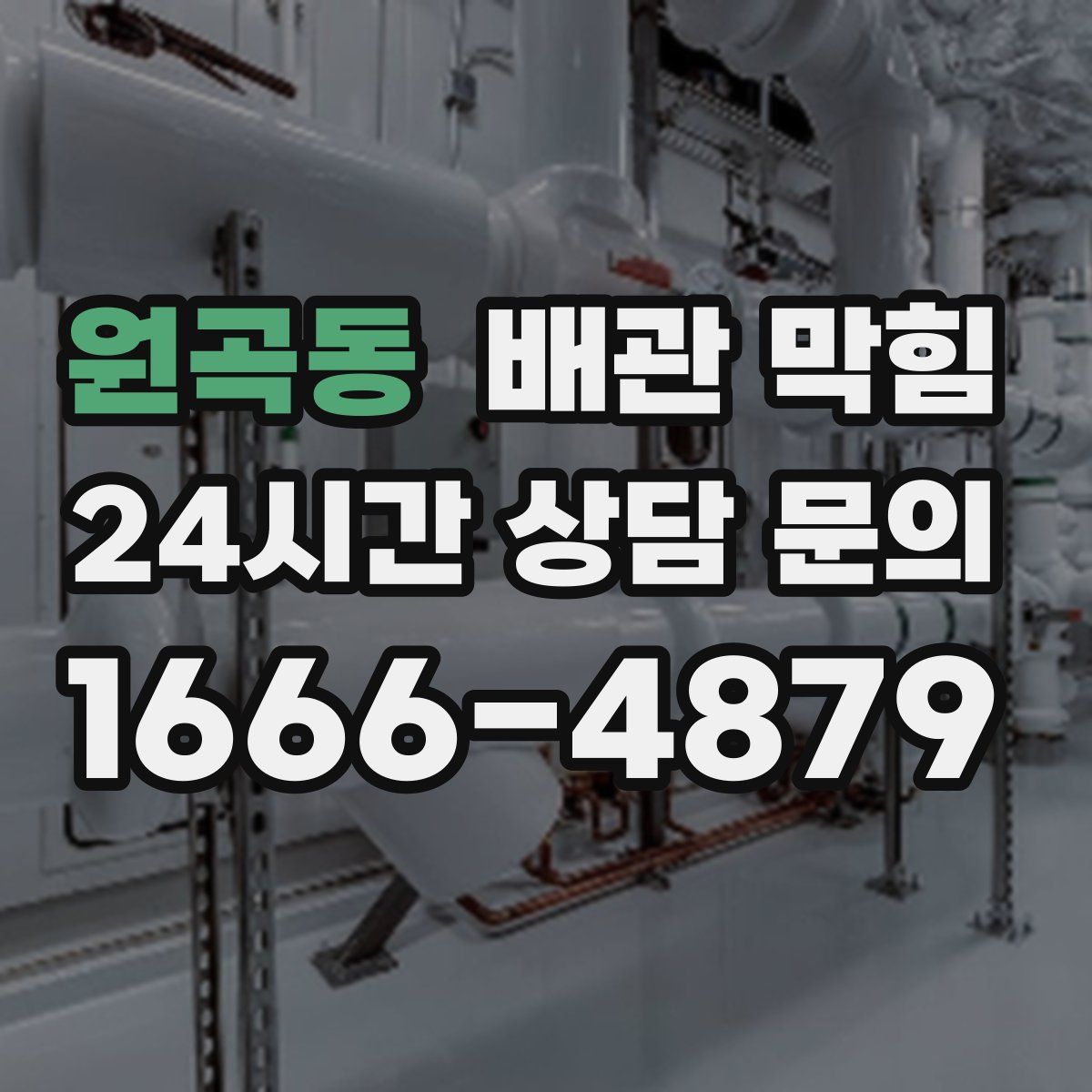 원곡동 배관 막힘
