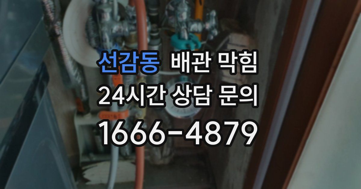 선감동 배관 막힘