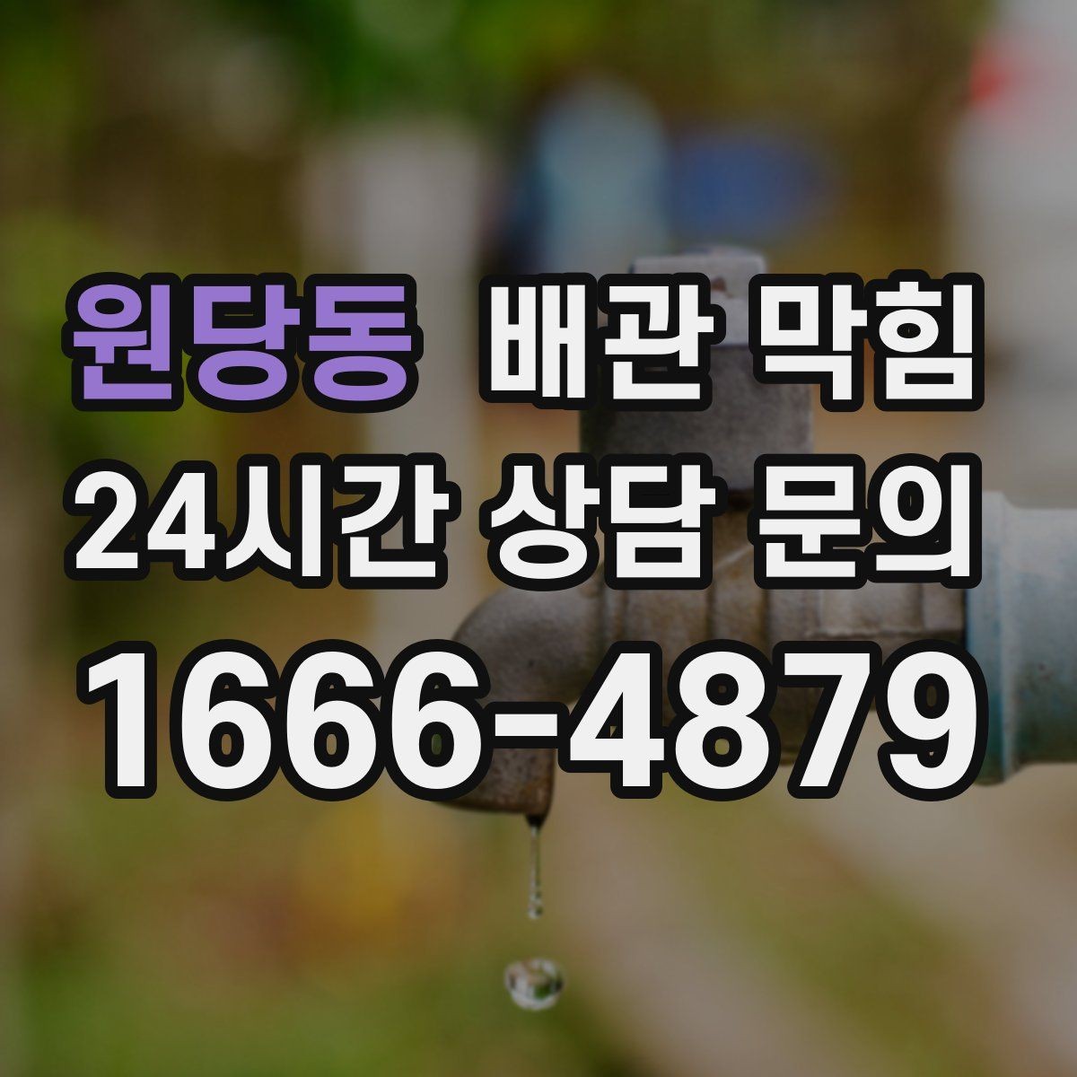 원당동 배관 막힘 장마철에 역류가 심해지면 우수 하수 분리를 점검