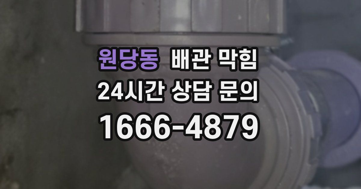원당동 배관 막힘