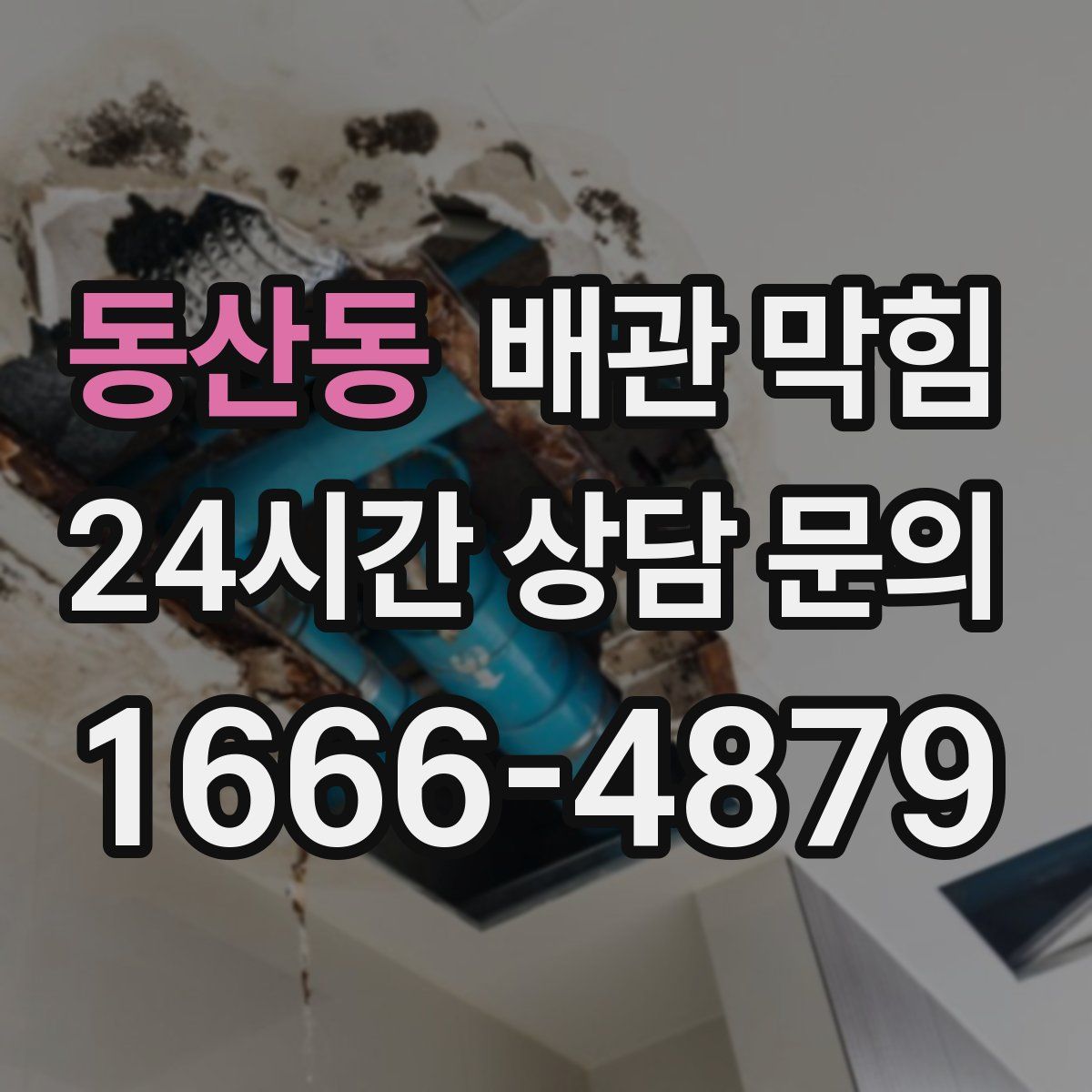 동산동 배관 막힘