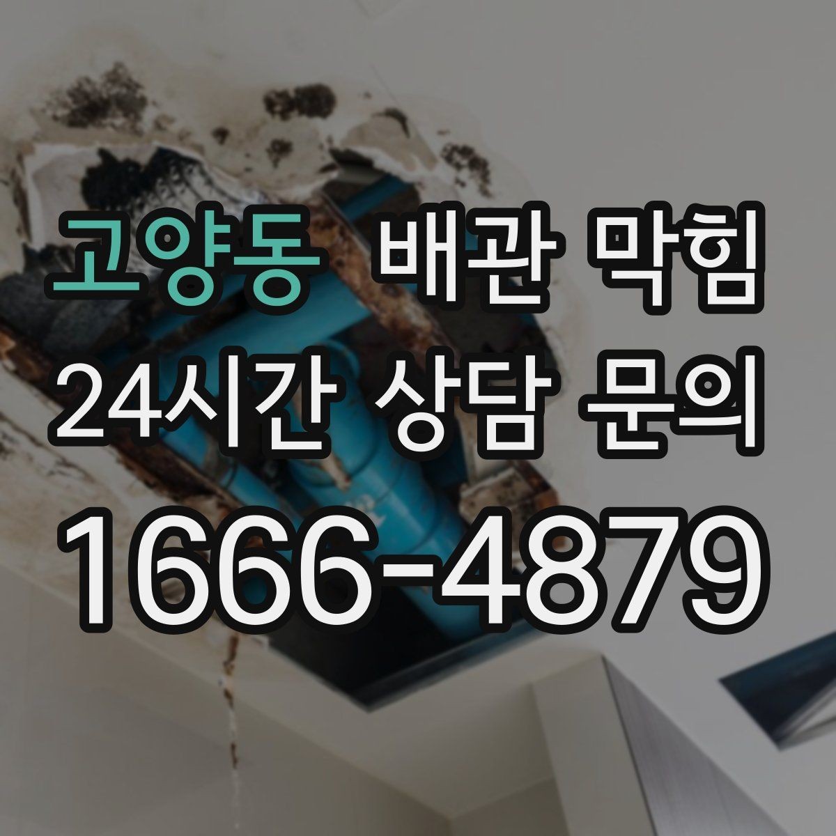 고양동 배관 막힘 우수관 문제처럼 보일 때 체크 포인트