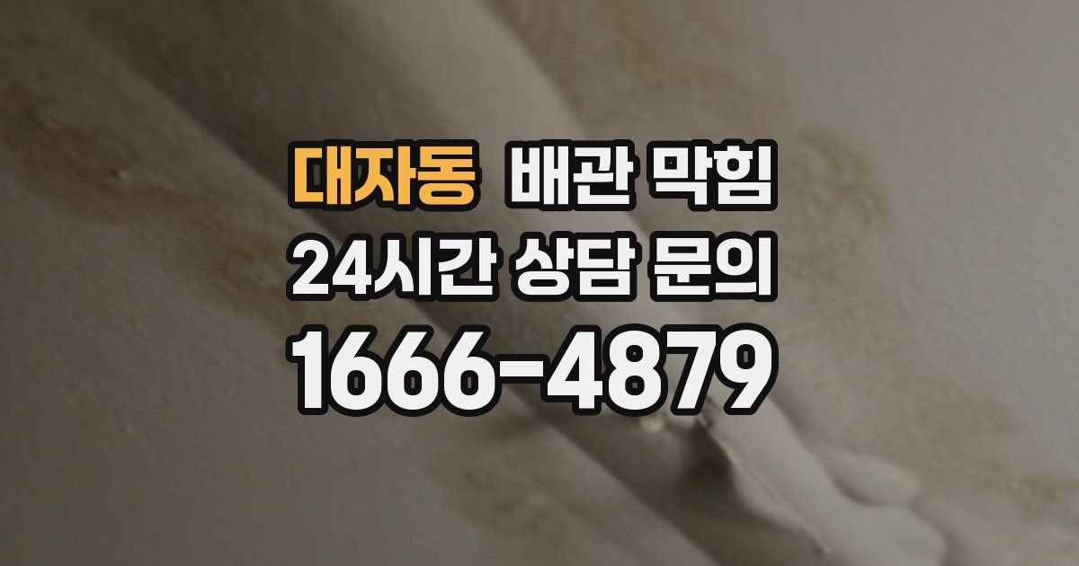 대자동 배관 막힘