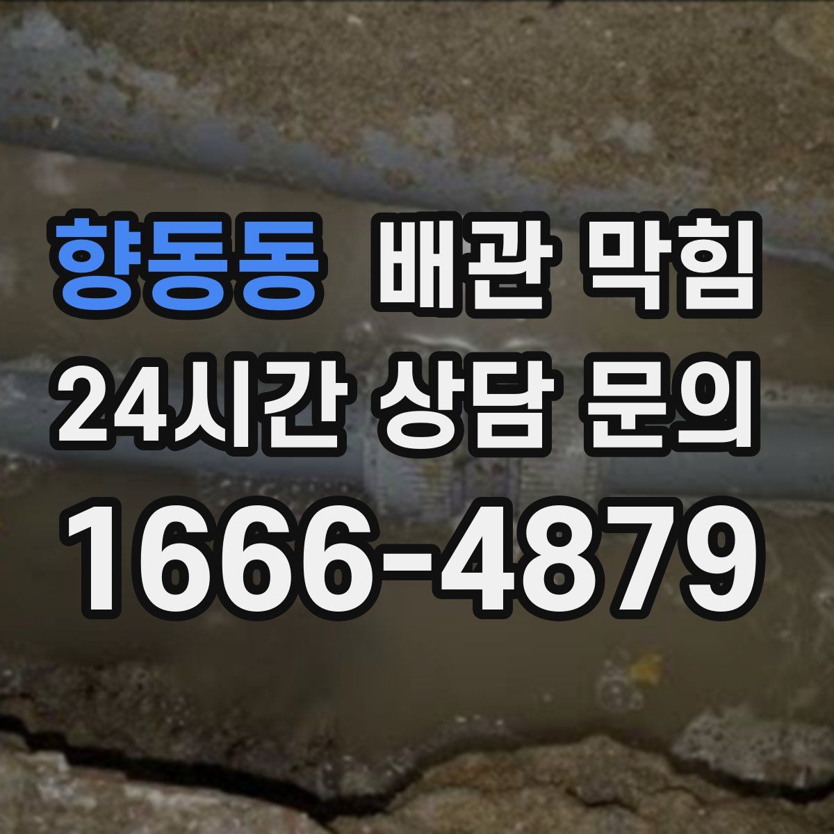 향동동 배관 막힘