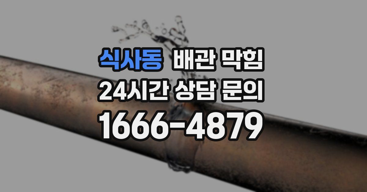 식사동 배관 막힘