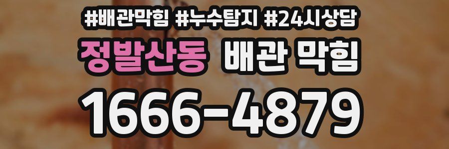 정발산동 배관 막힘