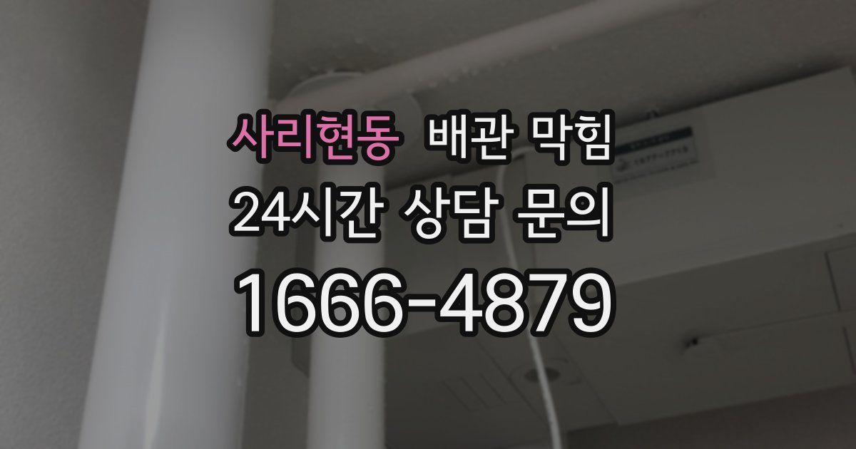 사리현동 배관 막힘