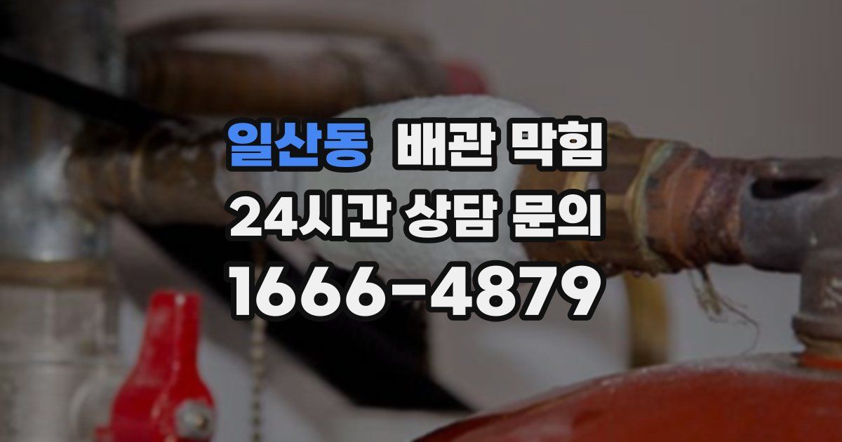 일산동 배관 막힘