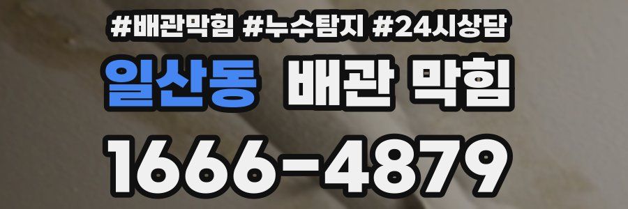 일산동 배관 막힘
