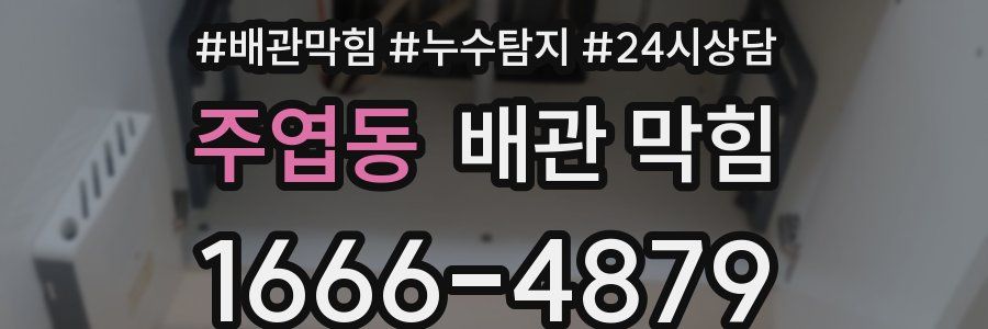 주엽동 배관 막힘