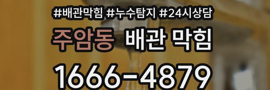 주암동 배관 막힘