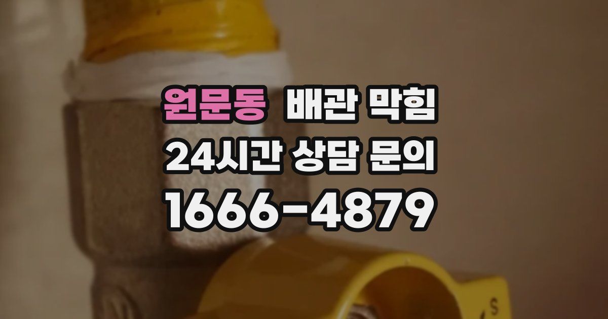 원문동 배관 막힘