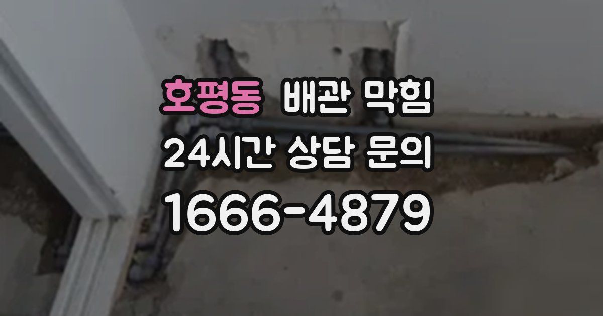 호평동 배관 막힘
