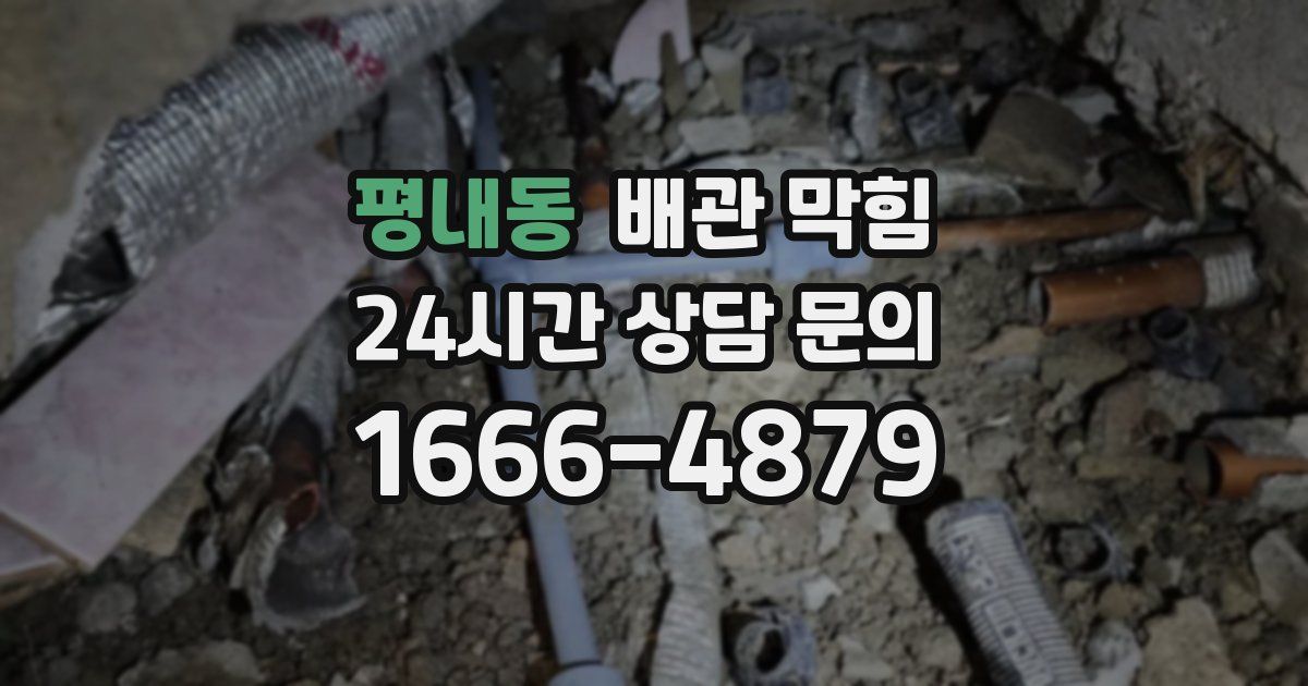 평내동 배관 막힘