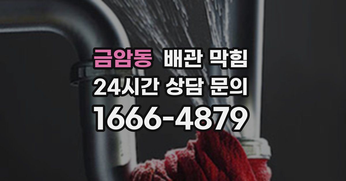 금암동 배관 막힘