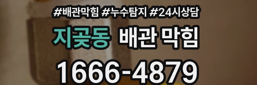 지곶동 배관 막힘