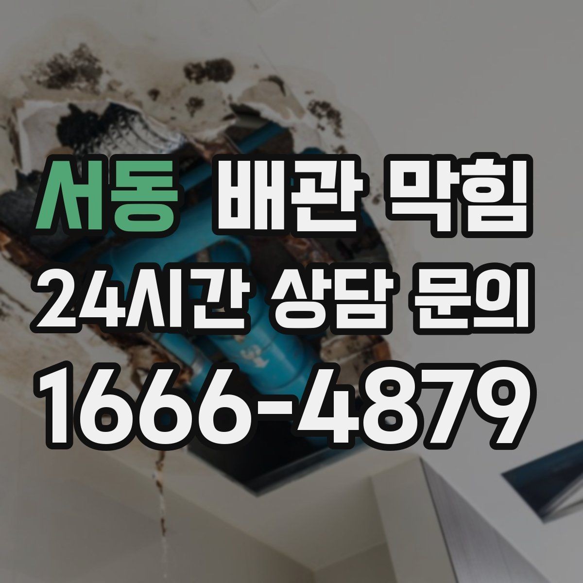 서동 배관 막힘 설거지 때 기름기 배출이 쌓이는 과정