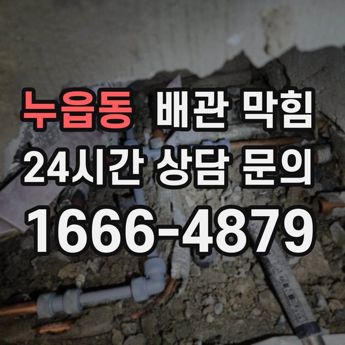 누읍동 배관 막힘 아래장 물건이 배수관을 누르면 생기는 문제