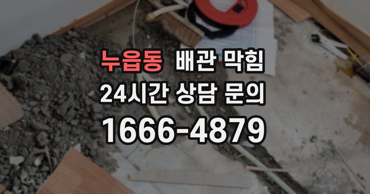 누읍동 배관 막힘