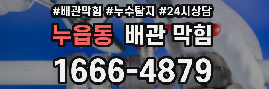 누읍동 배관 막힘