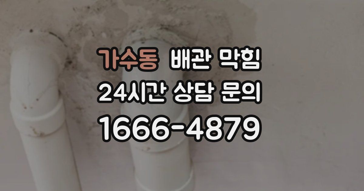 가수동 배관 막힘