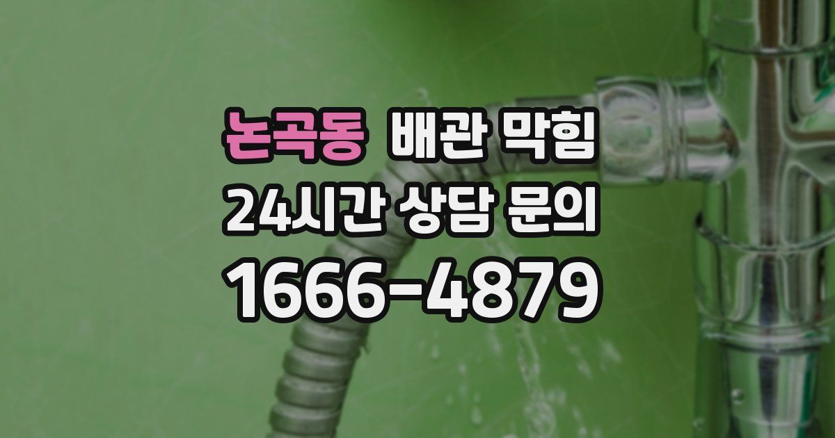 논곡동 배관 막힘