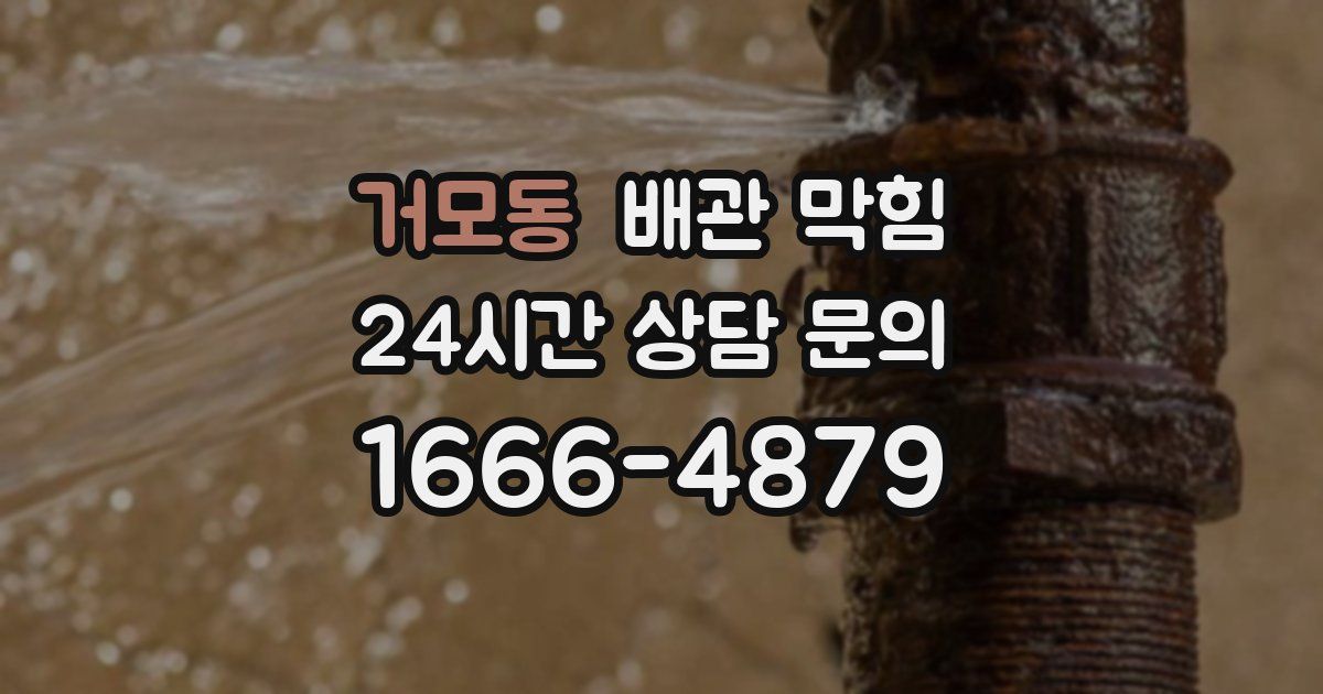 거모동 배관 막힘