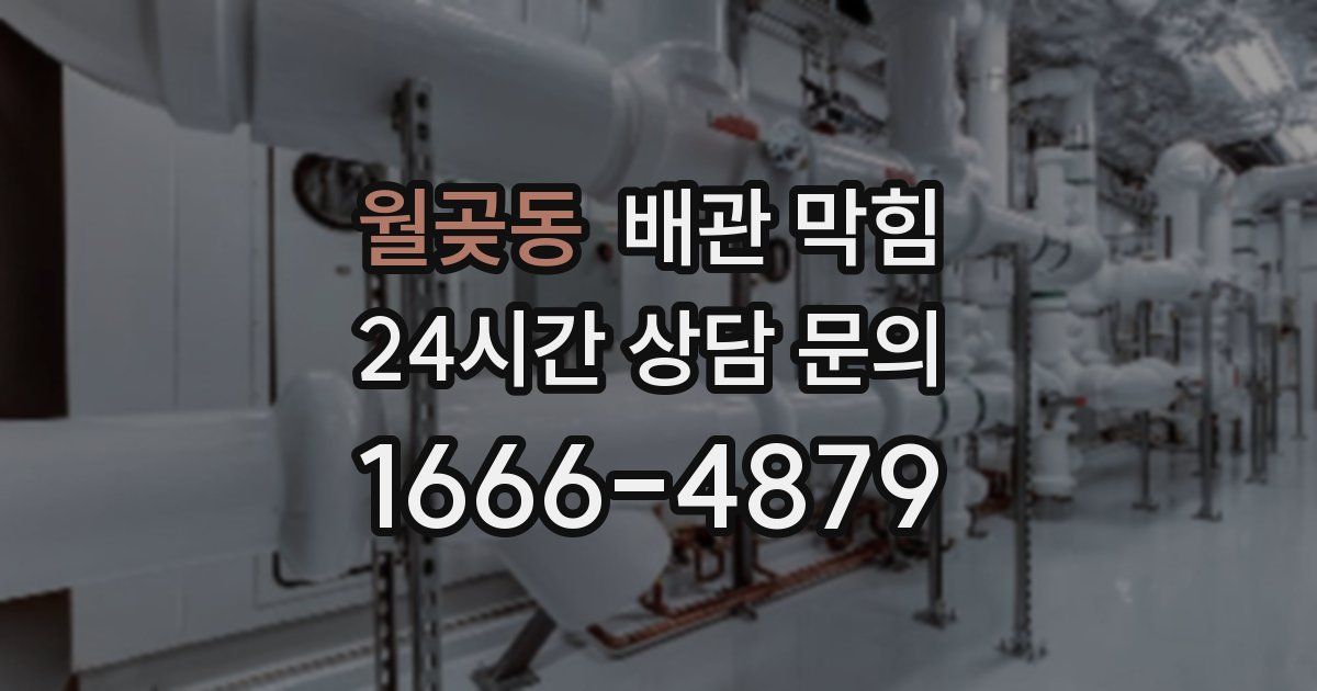 월곶동 배관 막힘