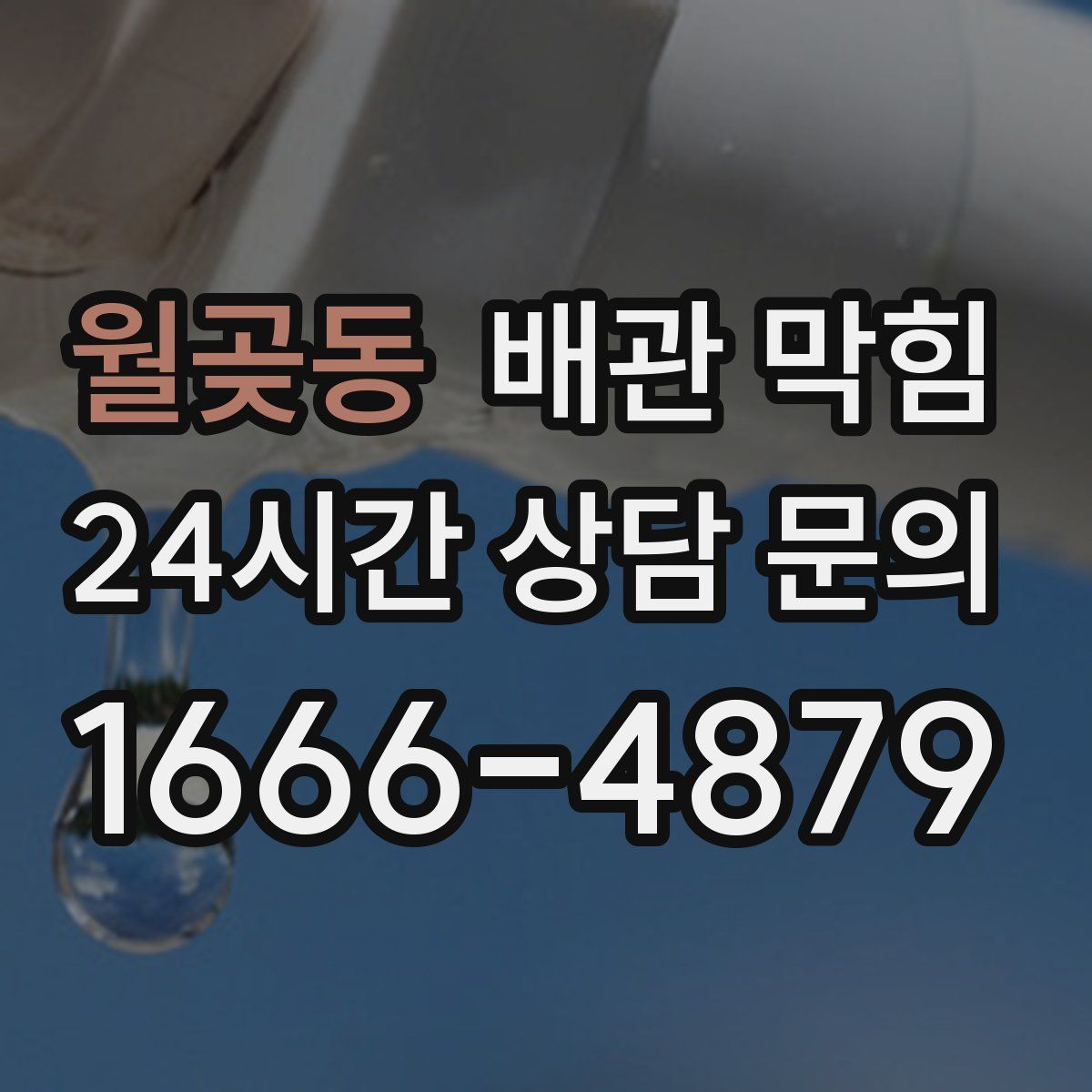 월곶동 배관 막힘