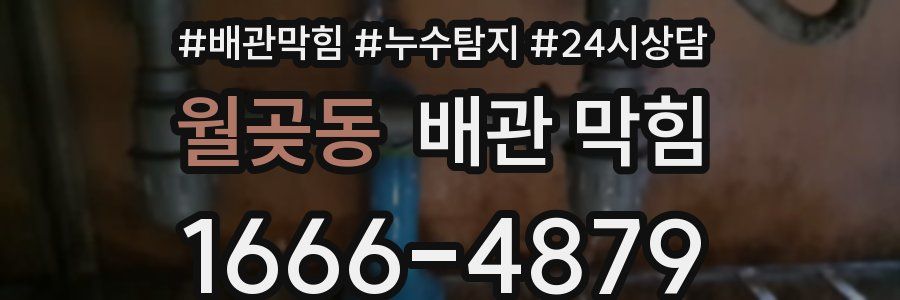 월곶동 배관 막힘