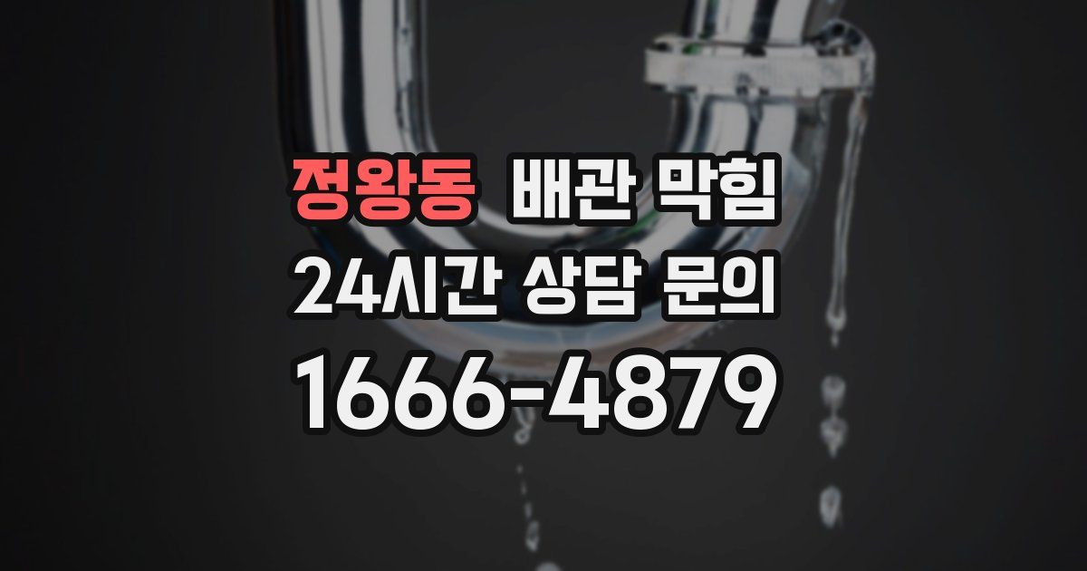 정왕동 배관 막힘