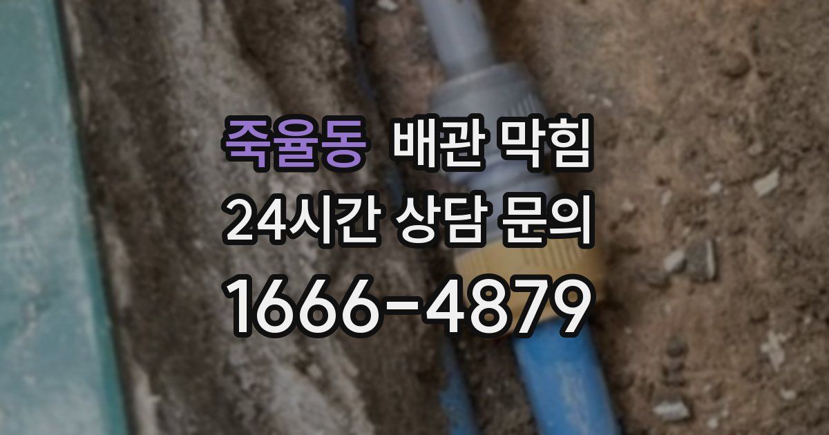 죽율동 배관 막힘