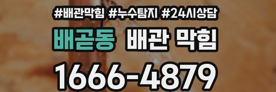 배곧동 배관 막힘