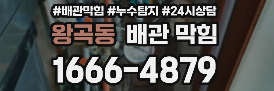 왕곡동 배관 막힘