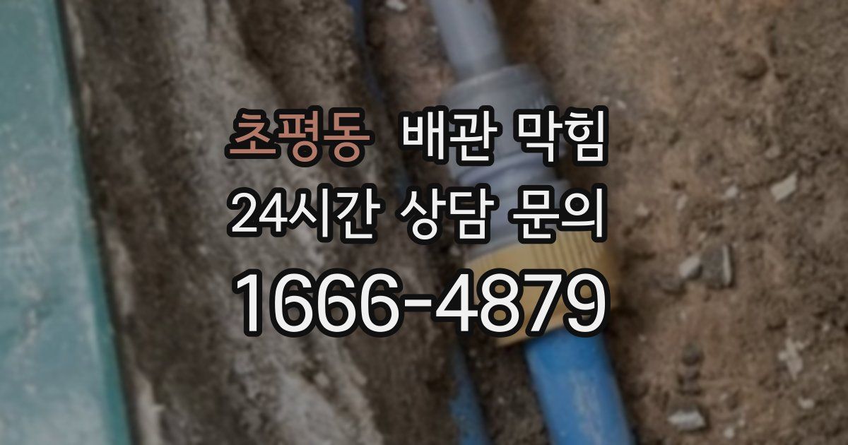 초평동 배관 막힘