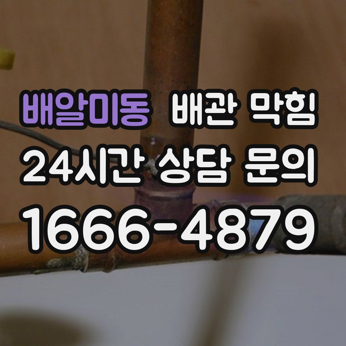 배알미동 배관 막힘