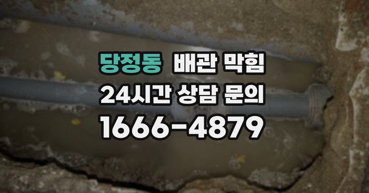 당정동 배관 막힘