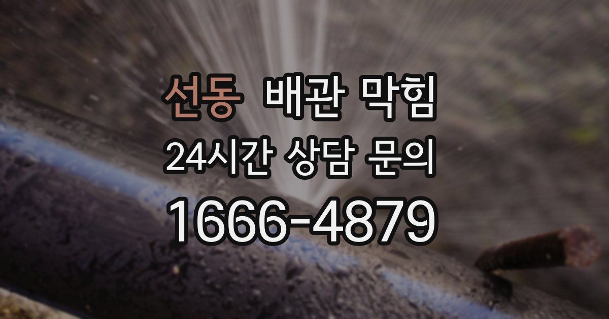 선동 배관 막힘