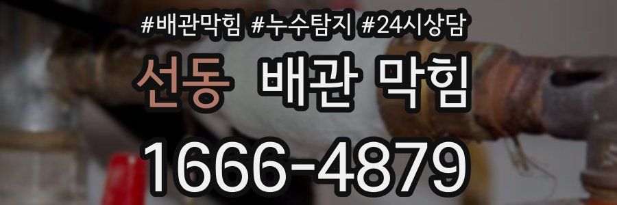 선동 배관 막힘