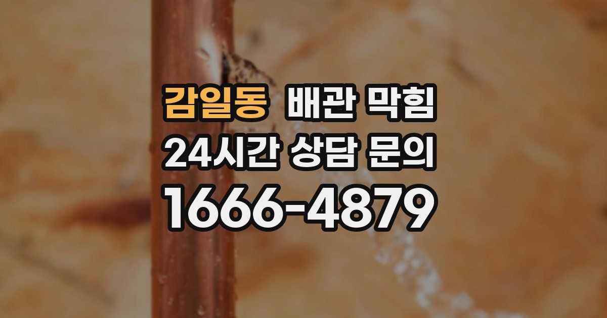 감일동 배관 막힘