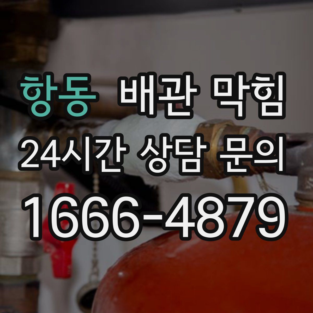 항동 배관 막힘