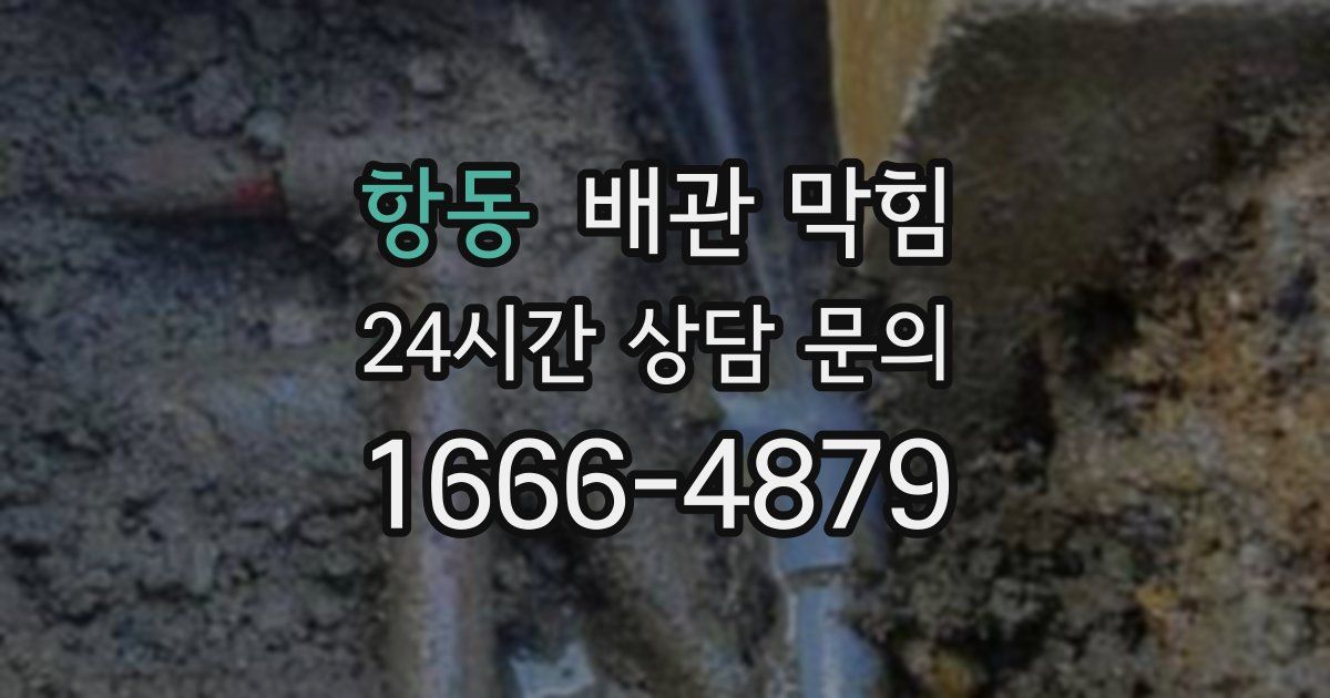 항동 배관 막힘