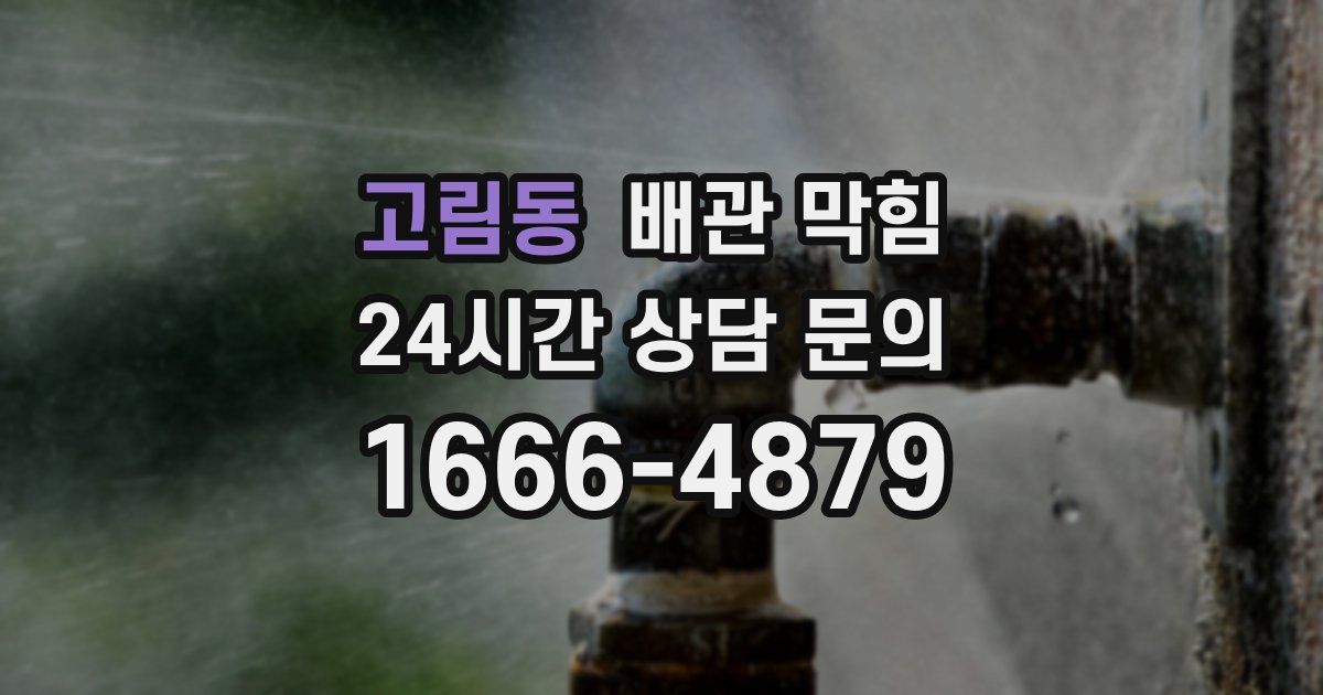 고림동 배관 막힘
