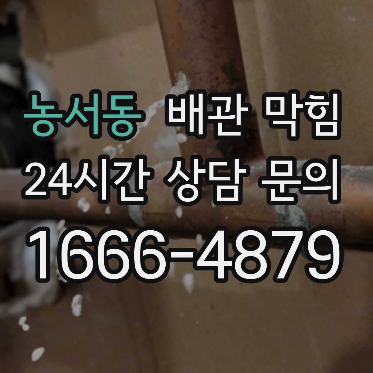 농서동 배관 막힘