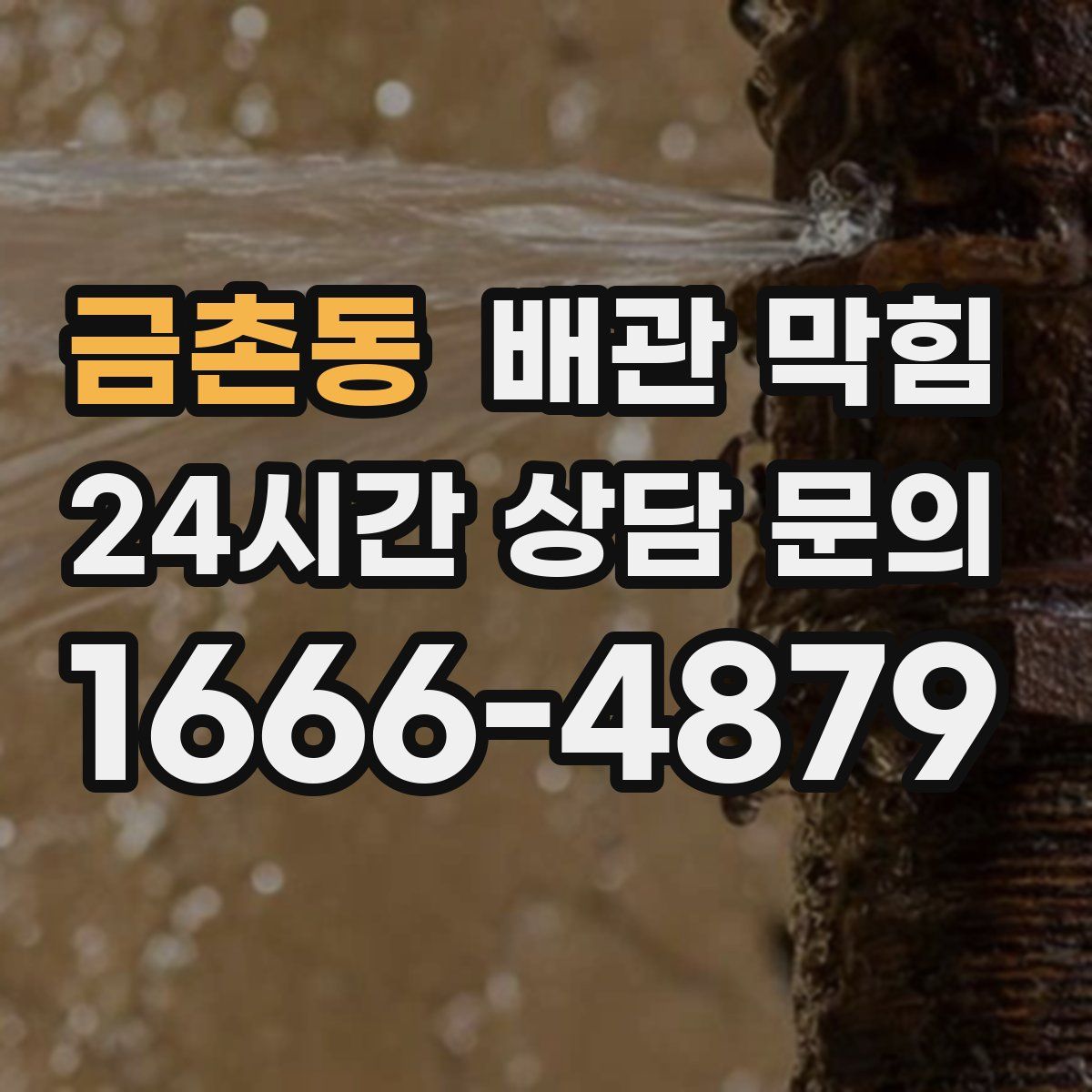 금촌동 배관 막힘