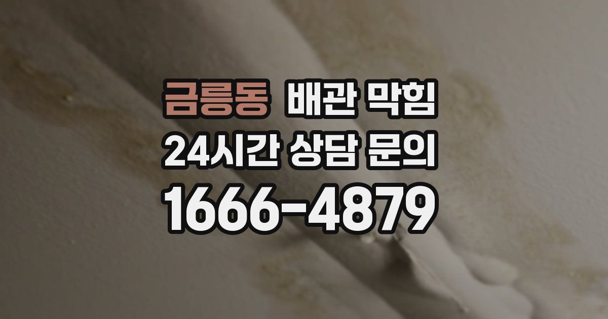 금릉동 배관 막힘