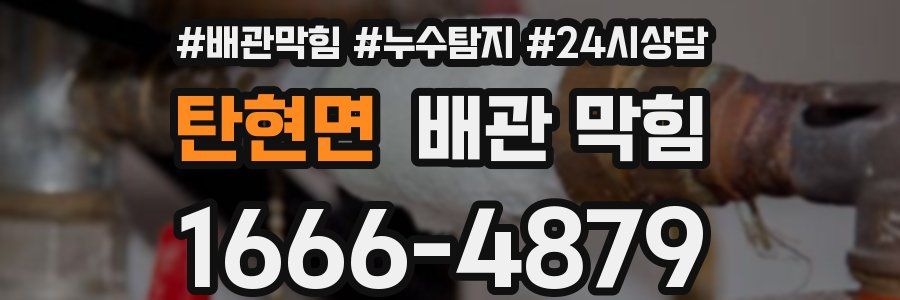 탄현면 배관 막힘