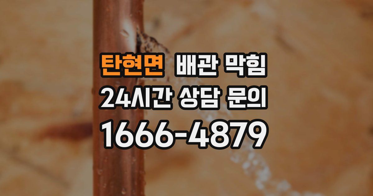 탄현면 배관 막힘