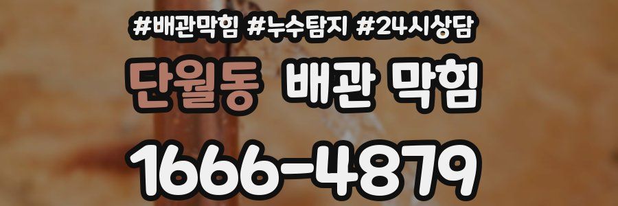 단월동 배관 막힘